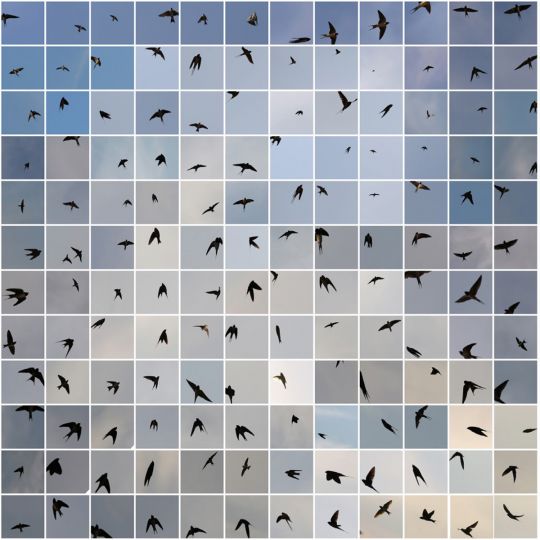 Le Bleu du Ciel - maquette (c) Edouard Taufenbach