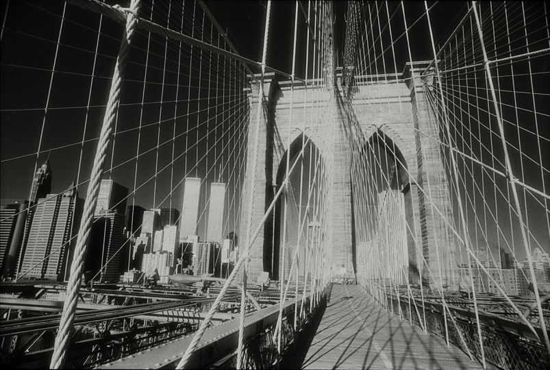 © Abe Frajndlich