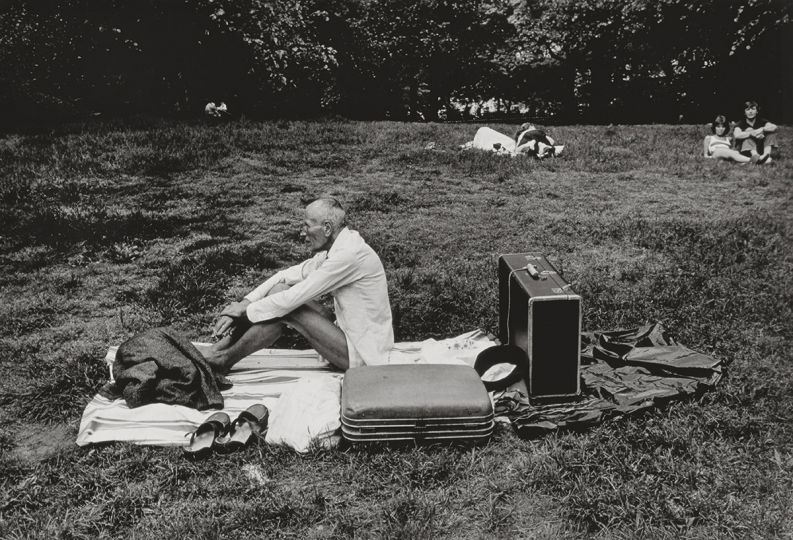 © Abe Frajndlich