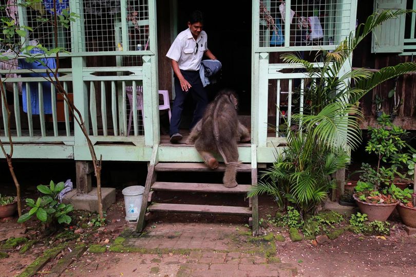 https://loeildelaphotographie.com/wp-content/uploads/2020/04/02-KoMyo-UU5A9103-Mi-Chaw-climbing-into-doctors-home-x540q80.jpg