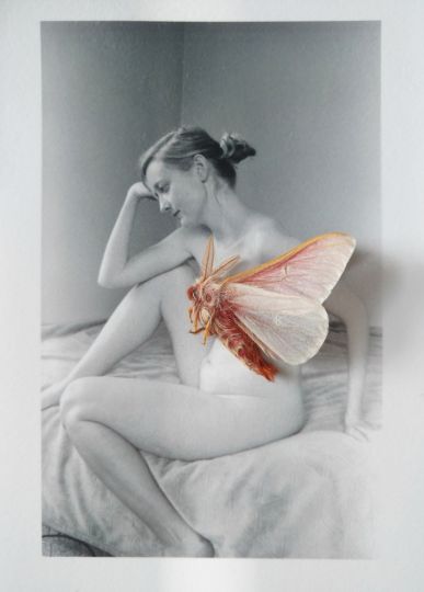 © Jordanna Kalman