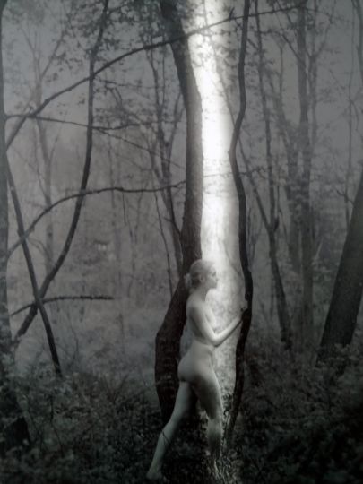 © Jordanna Kalman