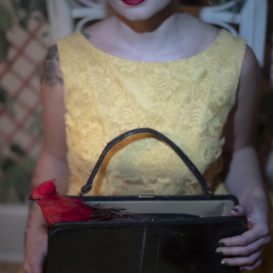 The Girl in a Red Dress and Other Stories © Joan Haseltine