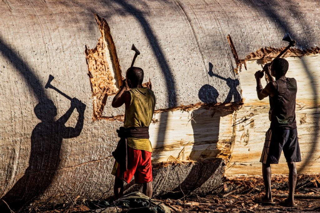 Xhosa stick fighting, Eastern Cape, South Africa, Stock Photo