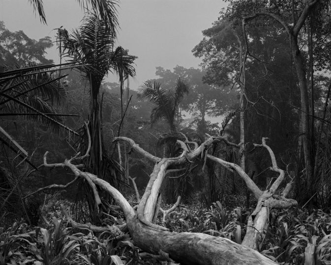 Éric Guglielmi
Cameroun, Lomié, 2018
œuvre produite dans le cadre de FLUX, commande photographique du Centre national des arts plastiques (Cnap) en partenariat avec le CRP/ Centre régional de la photographie Hauts-de-France et Diaphane Pôle photographique en Hauts-de-France

