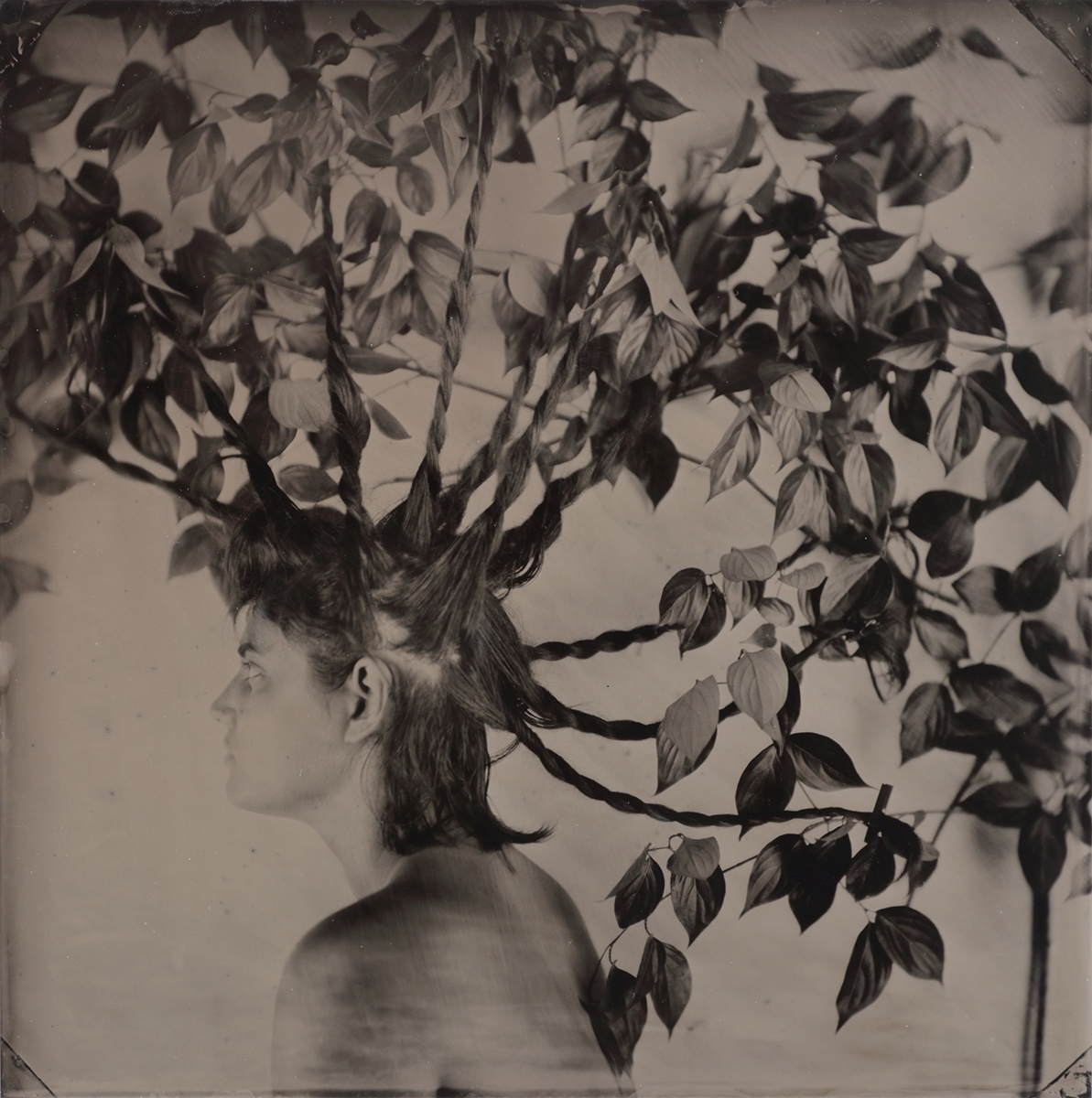 Brattleboro Museum : Rachel Portesi : Hair Portraits - The Eye of ...