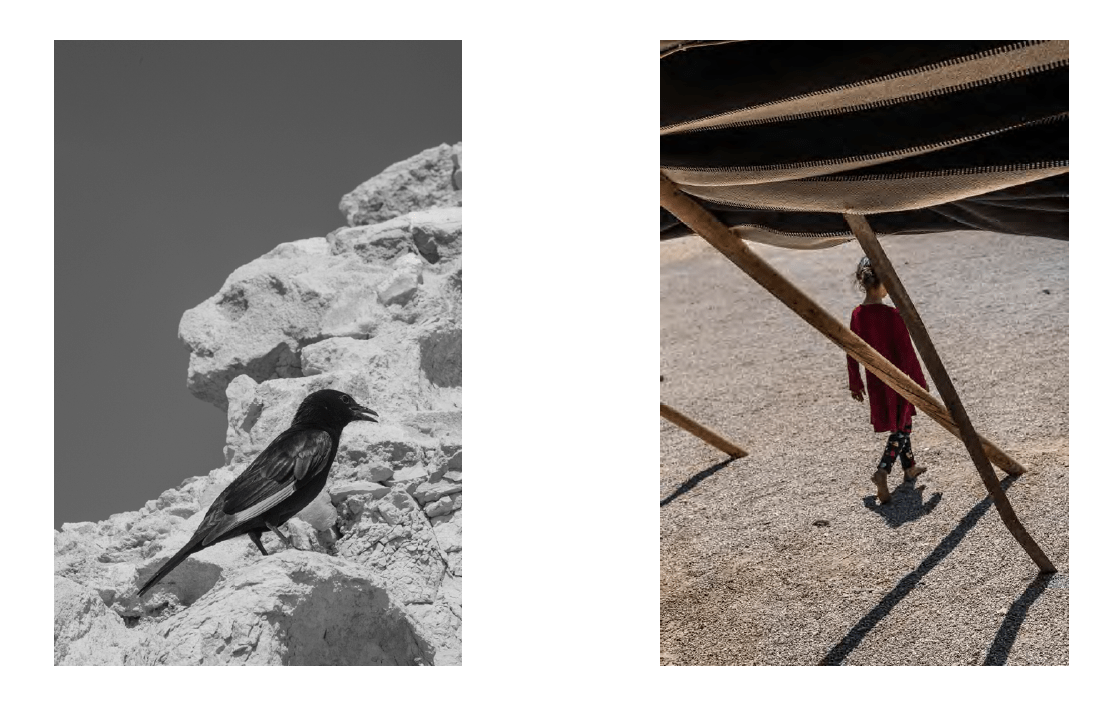 Ralph Gibson Sacred Land Israel Before And After Time The Eye Of ralph-gibson-sacred-land-israel-before-and-after-time-the-eye-of