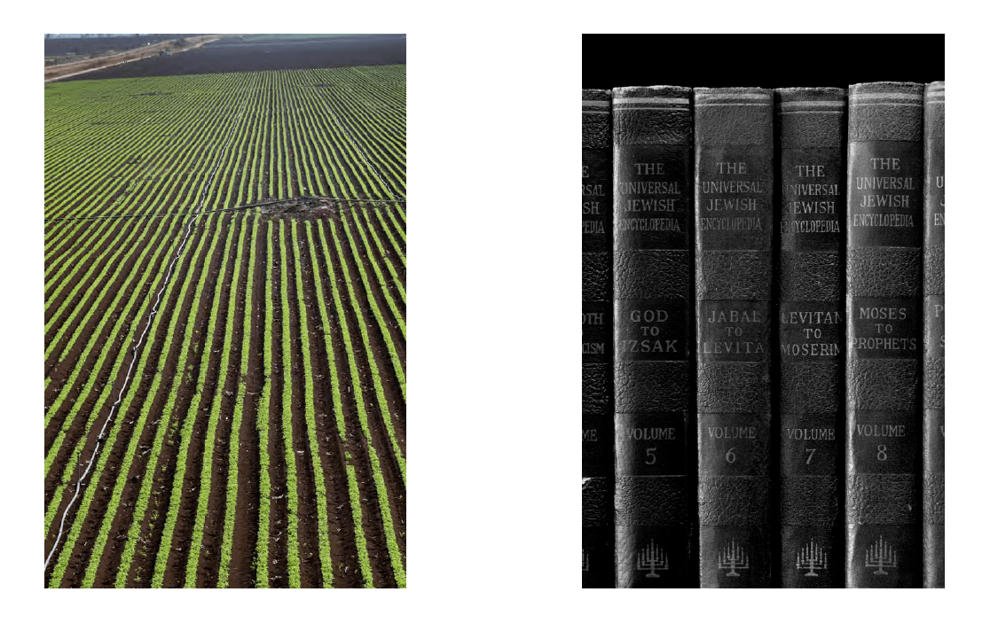 Ralph Gibson Sacred Land Israel Before And After Time The Eye Of ralph-gibson-sacred-land-israel-before-and-after-time-the-eye-of