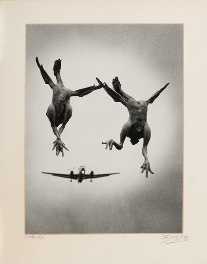 Lot 362 : JARING, Cor (Dutch 1936 - 2013). Flying high, 1989.