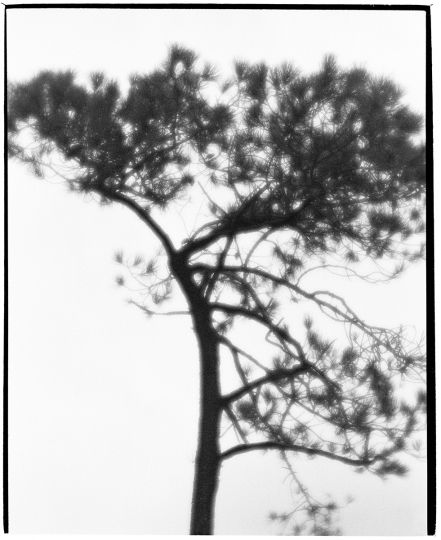 © Jean Francois Spricigo