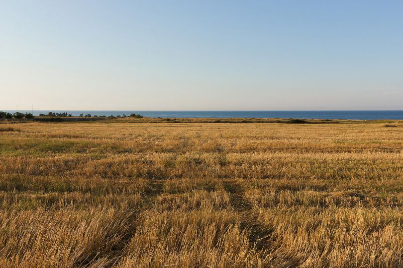 Mare Rurale © Stefano Semeraro