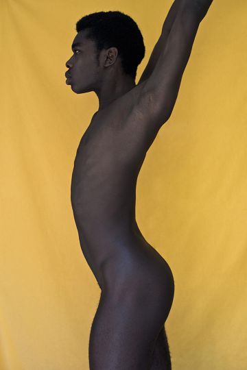 The Reed © Domenico Cennamo - Courtesy Boys! Boys! Boys!