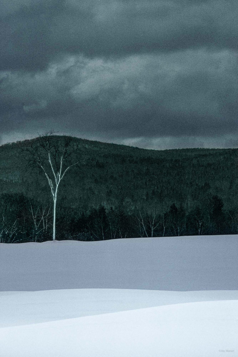 Jay Maisel (1931-2026) : Favorites