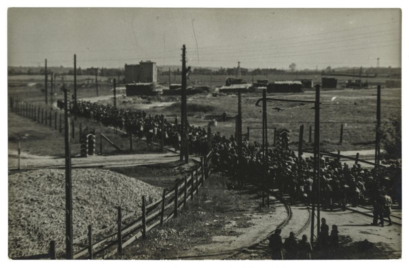 Untitled from Litzmann (Lodz) Ghetto © Henryk Ross (Polish, 1910–1991) 1940–1945 Photograph, gelatin silver print *Gift of Howard Greenberg in honor of Jacques Preis *Courtesy, Museum of Fine Arts, Boston