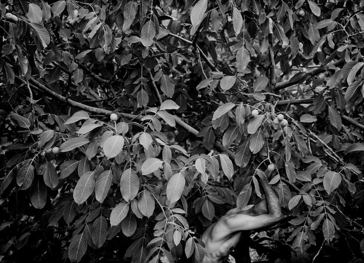 Between Moment & Soil © Babak Haghi