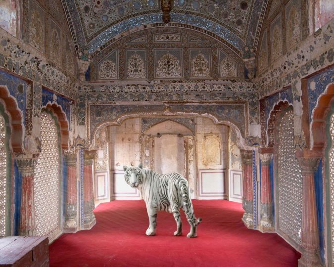 Karen Knorr
The Divine Heritage of the Yadavas, Sheesh Mahal, Karauli City Palace
Archival Pigment Photograph
Executed in 2014 © Karen Knorr - Courtesy Holden Luntz