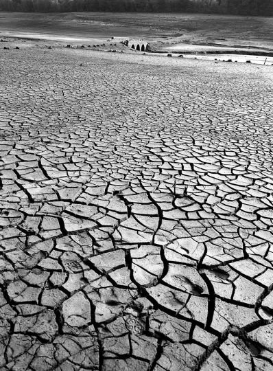 1995
La vallée de la Maulde ou l'envers de l'eau  © Jacqueline Salmon  