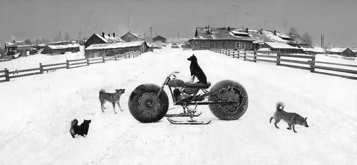 Pentti Sammallahti (b. 1950) - Solovki, White Sea, Russia (Dog on motorbike), 1992 © Pentti Sammallahti/Courtesy Peter Fetterman Gallery