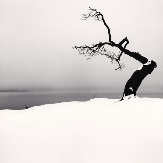 Michael Kenna (Great Britain, b. 1953) - Kussharo Lake Tree, Study 5, Kotan, Hokkaido, Japan, 2007 © Michael Kenna/Courtesy Peter Fetterman Gallery