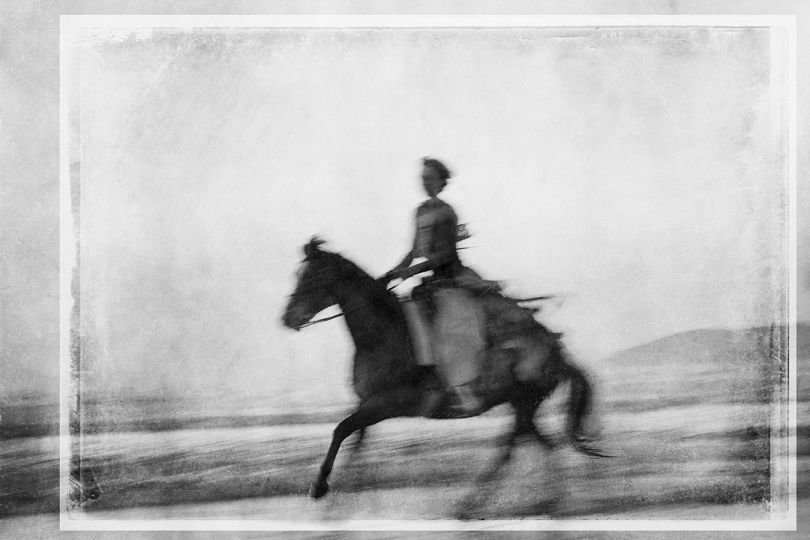 Horse on the Beach #18 © Jim McKinniss