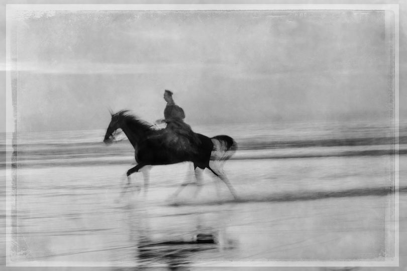 Horse on the Beach #19 © Jim McKinniss