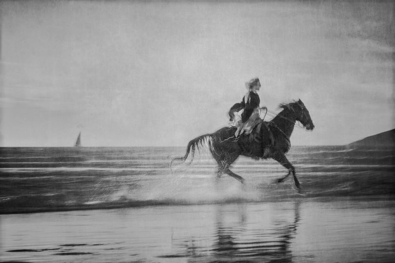 Horse on the Beach #24 © Jim McKinniss