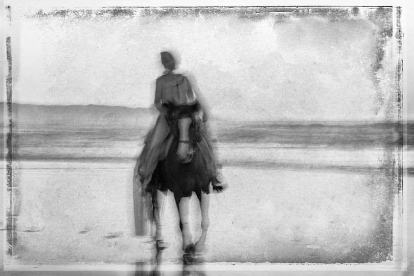 Horse on the Beach #32 © Jim McKinniss