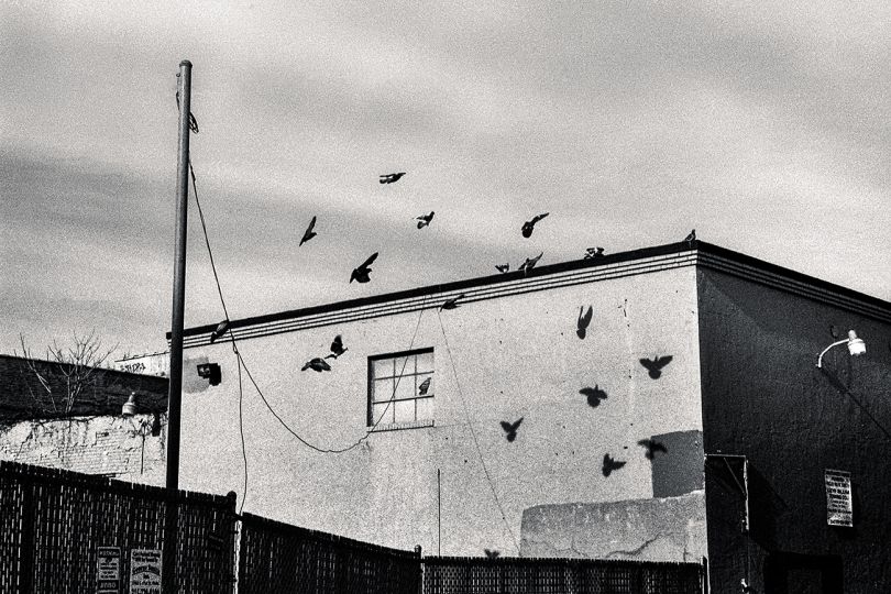 © John Waller – Courtesy Daylight Books