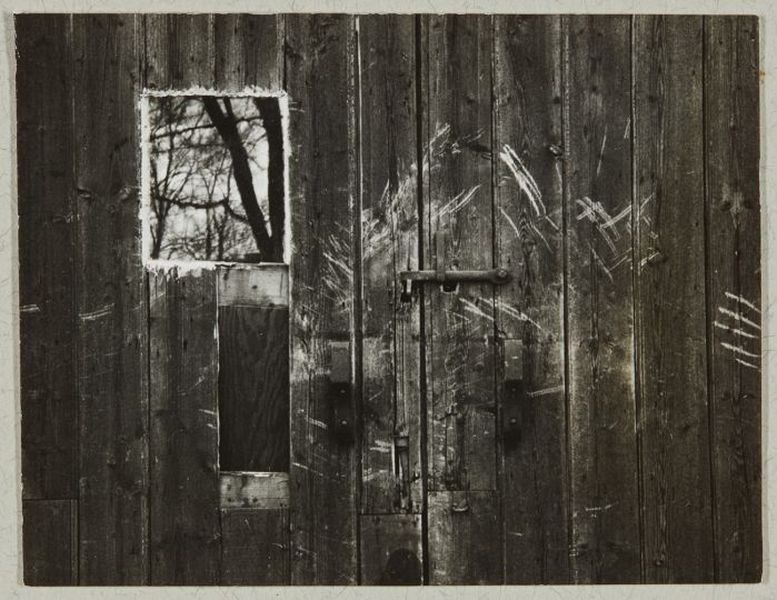 Carl Chiarenza (American, b. 1935), In a Manger, Rochester, NY, ca. 1955, gelatin silver print, George Eastman Museum, gift of the artist in honor of the museum’s curators, directors, and staff members during his lifetime. © Carl Chiarenza - Courtesy George Eastman Museum