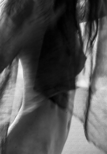Veil © Kami Zargham 