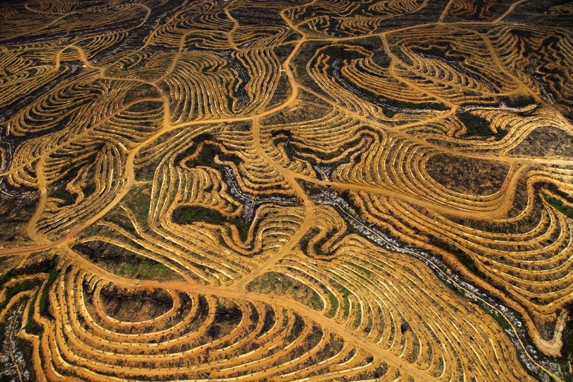 Nouvelle plantation de palmiers à huile près de Pundu, Bornéo, Indonésie / New oil palm plantation near Pundu, Borneo, Indonesia (1°59’ S – 113°06’ E). © Yann Arthus-Bertrand