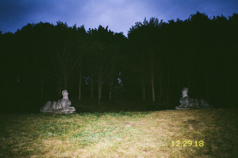 Marie Tomanova - Sphinxes, 2018 - copyright and courtesy Marie Tomanova