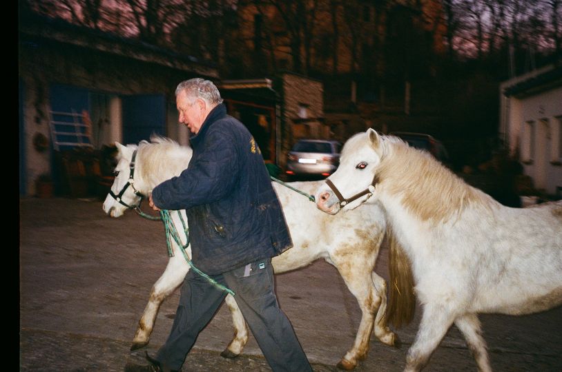 Marie Tomanova - Willy with Horses, 2018 - copyright and courtesy Marie Tomanova