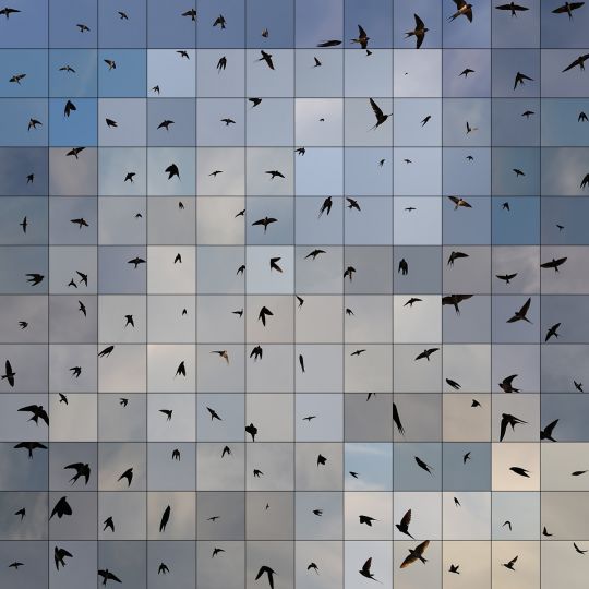 Le Bleu du Ciel  ©  Edouard Taufenbach et Bastien Pourtout – Courtesy Prix Swiss Life à 4 mains