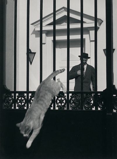 Mariage gitan à Tarascon, 1953 © Sabine Weiss