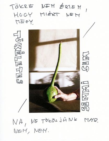 OVER THE BLUE NIPPLE HILLS TÖKÖS 2016-2018 © Júlia Standovár
