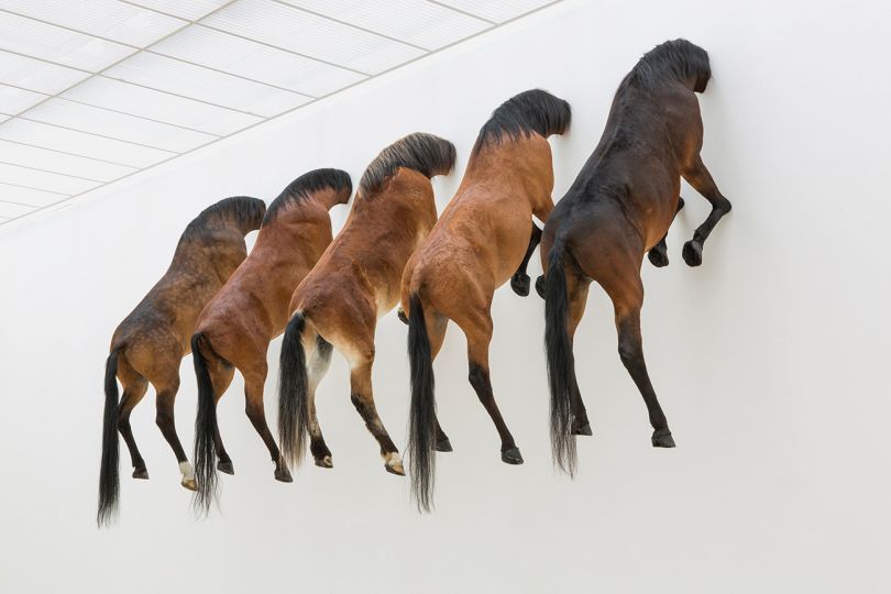 Maurizio Cattelan
Kaputt, 2013
Taxidermied horses
Variable dimensions
Installation view, Fondation Beyeler, Basel, 2013
Courtesy Maurizio Cattelan's Archive
Photo Zeno Zotti