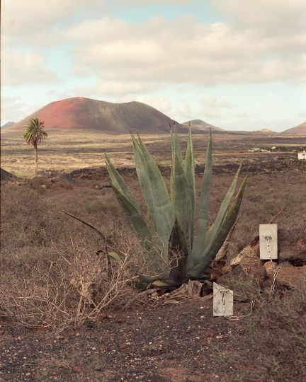 KINKY CONCRETE Lanzarote I 2019 © Júlia Standovár