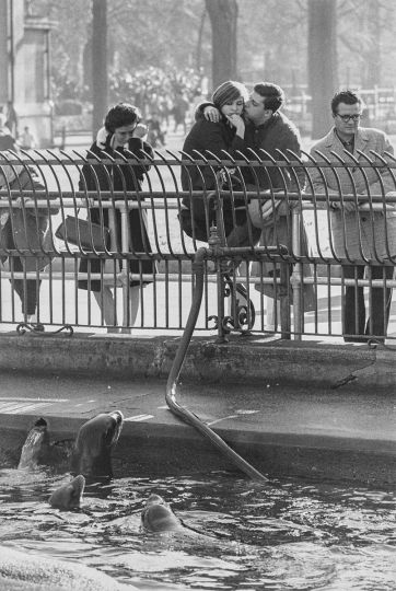 Garry Winogrand - Zoo de Central Park, Ciutat de Nova York ca.1963 Zoo de Central Park, Nueva York, ca.1963 Central Park Zoo, New York City, ca.1963 Col·lecció particular, España Colección Particular, España Private Colection, Spain © The Estate of Garry Winogrand, courtesy Fraenkel Gallery San Francisco