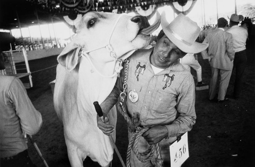 Garry Winogrand - Fira estatal de Texas, Dallas, 1964 Feria de Muestras del Estado de Texas, Dallas, 1964 Texas State Fair, Dallas,1964 37,5 × 50,2 cm Col·lecció Fundación MAPFRE, Madrid Colección Fundación MAPFRE, Madrid Collection of Fundación MAPFRE, Madrid © The Estate of Garry Winogrand, courtesy Fraenkel Gallery San Francisco