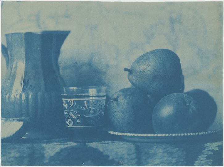 Henri Le Secq, Pot à eau, verre gravé et poires dans une assiette, 1850-1860, cyanotype Don Henri Le Secq des Tournelles, 1905 © MAD, Paris