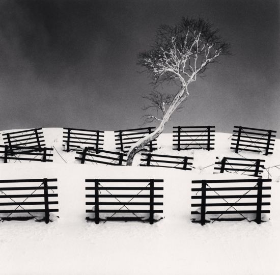 Dakekanba and Snow Barriers,  Hokkaido, Japan. 2020 © Michael Kenna  - Courtesy Galerie Camera Obscura 