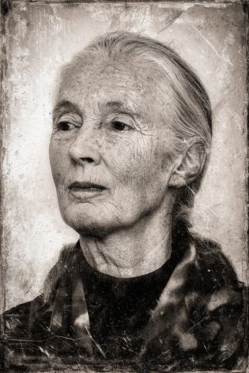 Jane Goodall, 2005 © Lynn Goldsmith
