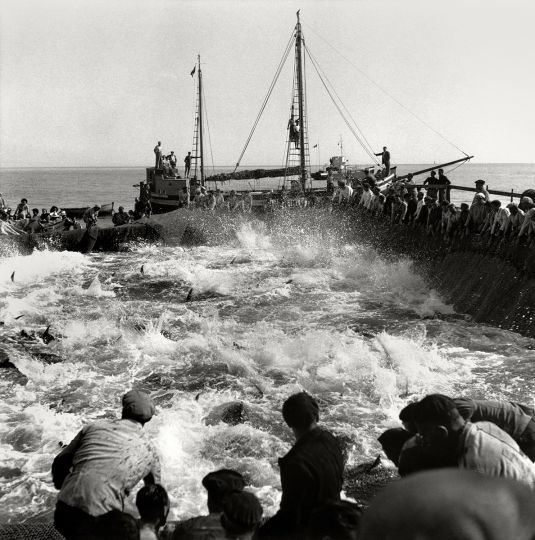 Herbert List, The nets are raised slowly, while the men are singing an old song, Favignana, Italy, 1951, Collezione MAST. Courtesy of The Herbert List Estate / Magnum Photos