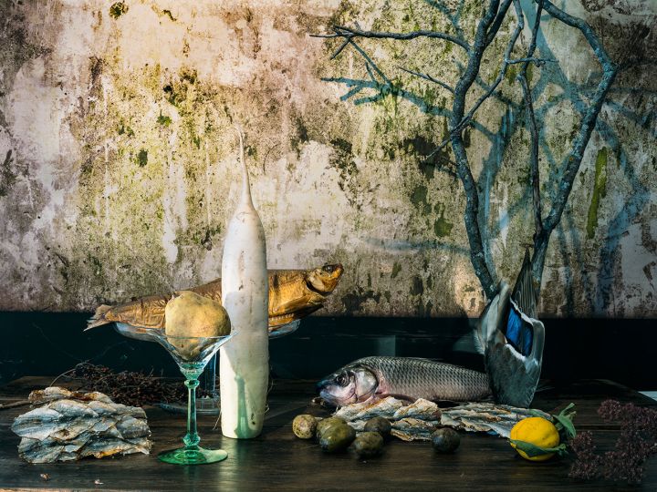 Vera Mercer Fishes, Paris 2020 © Vera Mercer