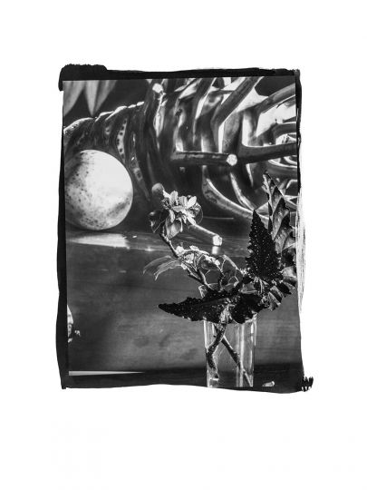 Vera Mercer Untitled Platinum Print, Omaha 2020 © Vera Mercer