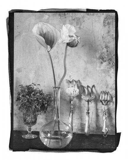 Vera Mercer Flowers in vase Platinum Print, Paris 2021 © Vera Mercer