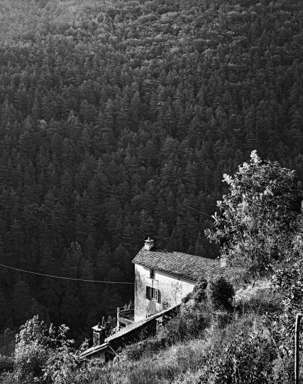 RAYMOND DEPARDON La Muse, Aveyron, 2020 © Raymond Depardon / Magnum Photos