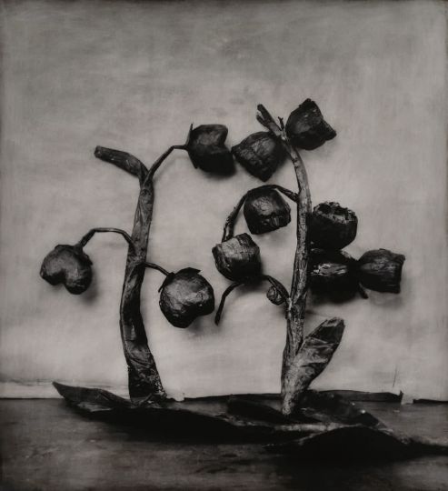 Sans titre, 2008 © Jean-Michel Fauquet – Courtesy La Galerie Rouge
