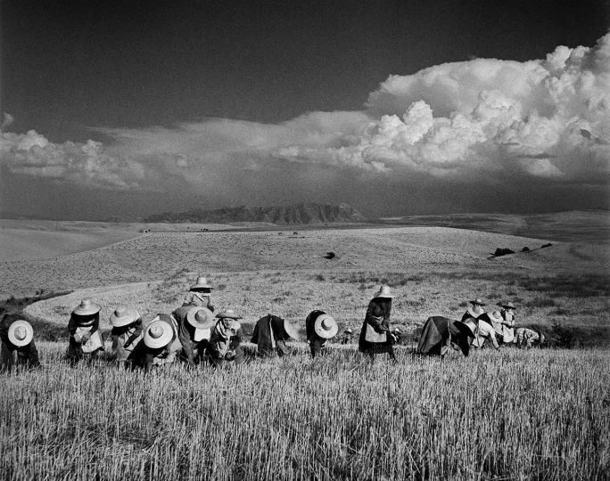Les glaneuses, De Jaen à Ubeda, Espagne, 1951. Jean Dieuzaide – Mairie Toulouse, Archives municipales.